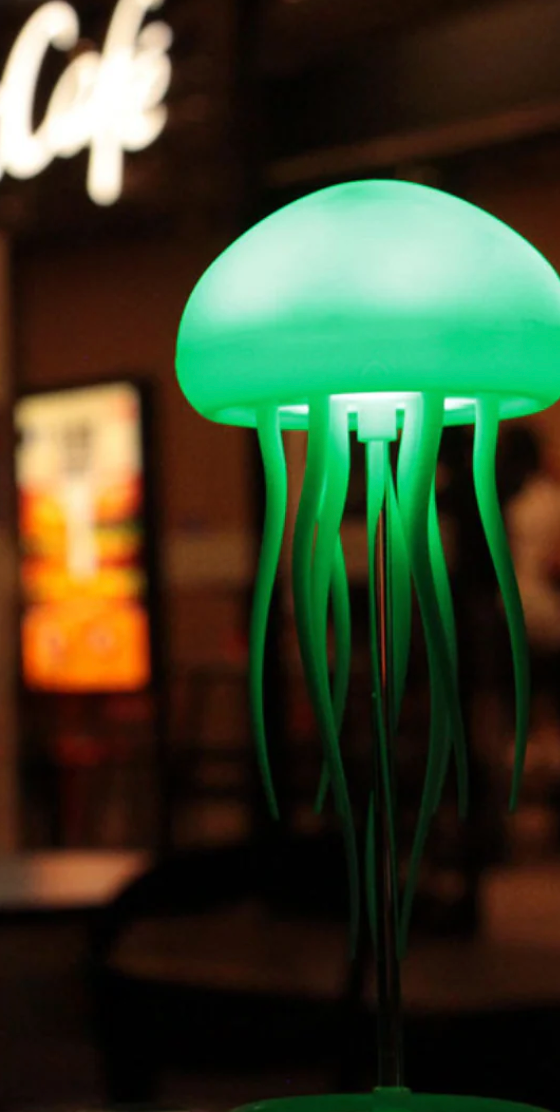 Mid-Century Modern Floor & Pendant Lamp with Edison Bulbs